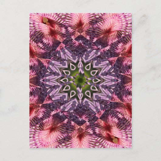 Blume Drehung Mandala 2015 Postkarte (Vorderseite)