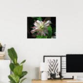 Blume drei poster (Heimbüro)