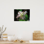 Blume drei poster (Küche)
