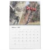 Blume durch den Saisons-Kalender! Kalender (Feb 2027)