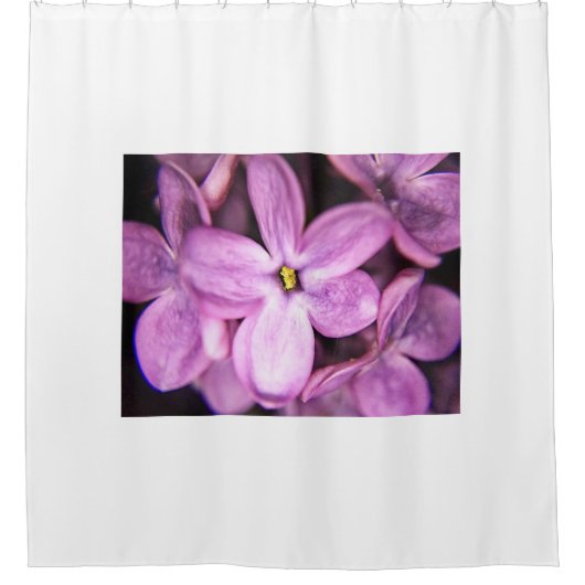 Blume Duschvorhang (Vorderseite)