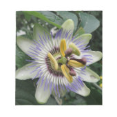 Blume Editor Notizblock (Vorderseite)