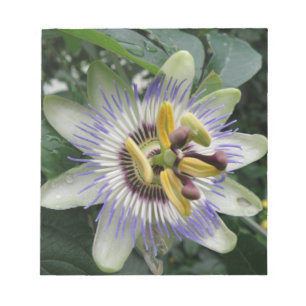 Blume Editor Notizblock