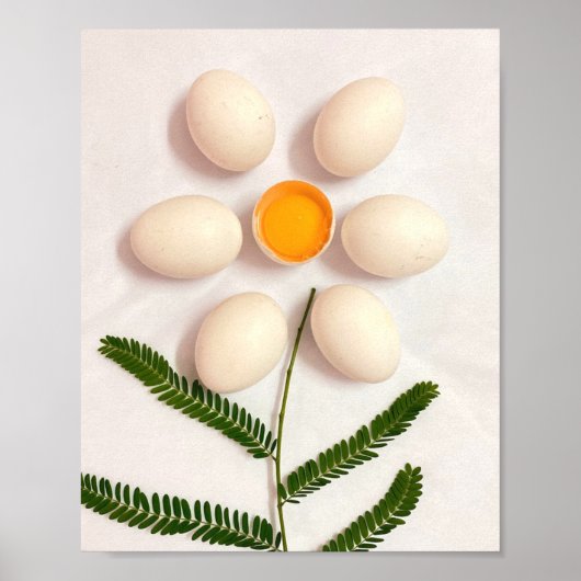 Blume Eierjolk Poster (Vorne)