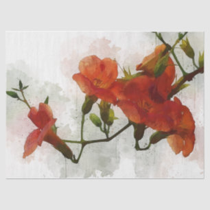 Blume: Entfärbungs-Tissue Seidenpapier