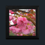 Blume Erinnerungskiste<br><div class="desc">Hot Pink Cherry Blossom Blume Foto von Sandy Closs am Lake Arrowhead Pink,  Blume,  Blume,  Blumen,  Frühling,  Kirsche,  Kirschen,  Garten,  Hochzeit,  Hochzeiten, </div>