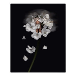 Blume Fairies 1 Poster