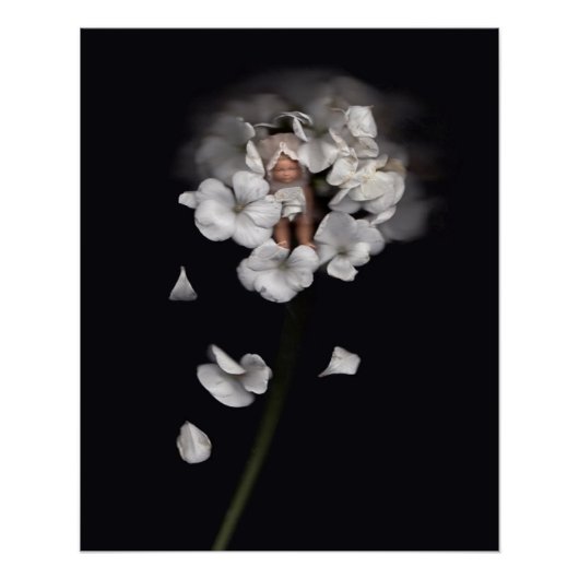 Blume Fairies 1 Poster (Vorderseite)