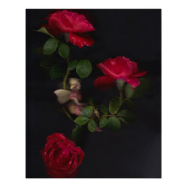 Blume Fairies 2 Poster