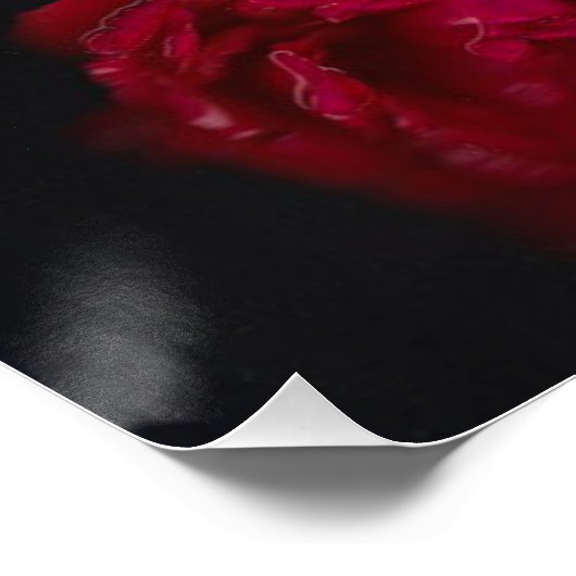 Blume Fairies 2 Poster (Ecke)