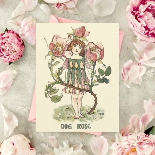 Blume Fairy Gardeners geklappt