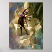 Blume Fairy Poster (Vorne)