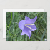 Blume Feiertagskarte (Vorne/Hinten)