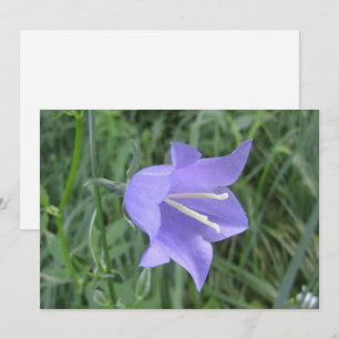 Blume Feiertagskarte