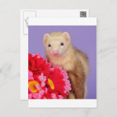 Blume Ferret Postkarte (Vorne/Hinten)