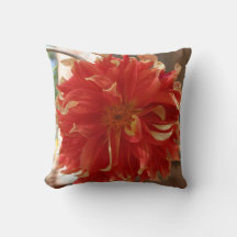 Blume Feuerlöschende Dahlia
