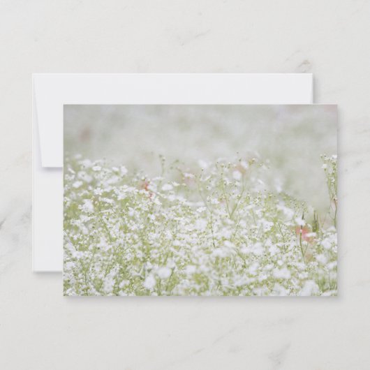 Blume Field Memorial Beerdigung Danke Karte (Rückseite)