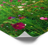 Blume Field of Kentucky Poster (Ecke)