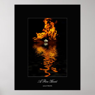 Blume "Fire & White Rose" Romantisches Poster