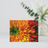 Blume Fireworks Postcard Postkarte (Stehend Vorderseite)