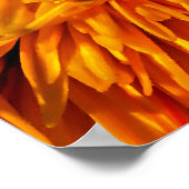 Blume Fireworks Poster (Ecke)