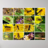 Blume Fliegen Poster (Vorne)