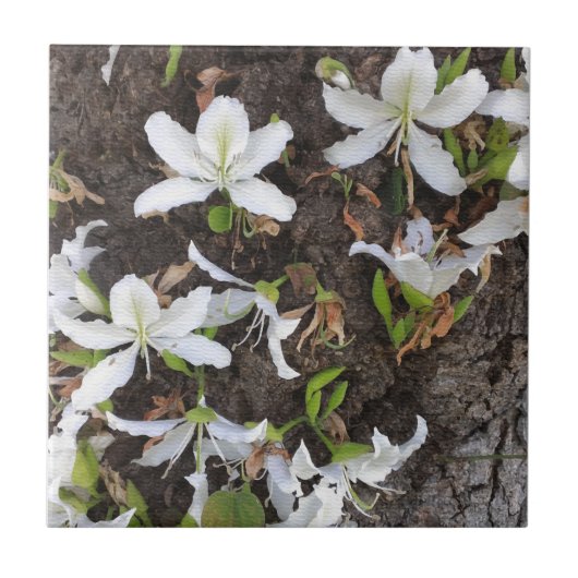 Blume Fliese (Vorderseite)