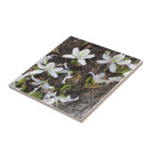 Blume Fliese (Seite)