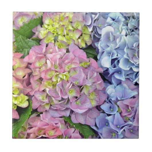 Blume Fliese (Vorderseite)
