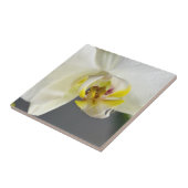 Blume Fliese (Seite)
