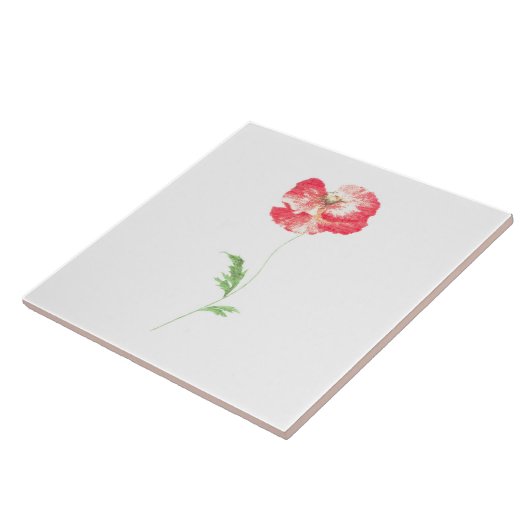 Blume Fliese (Seite)