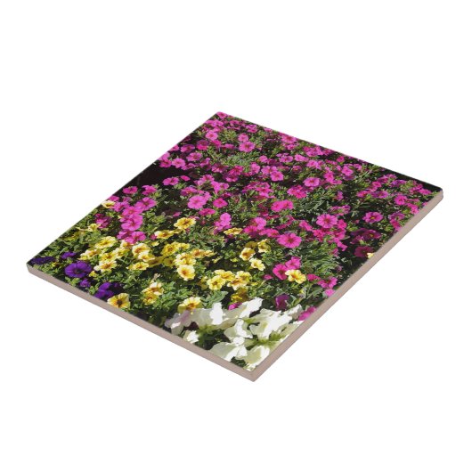 Blume Fliese (Seite)