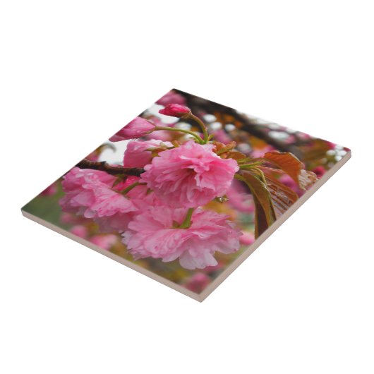 Blume Fliese (Seite)