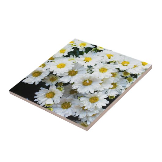 Blume Fliese (Seite)