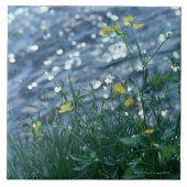 Blume Fliese (Vorderseite)