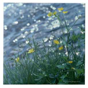 Blume Fliese