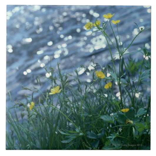 Blume Fliese (Vorderseite)