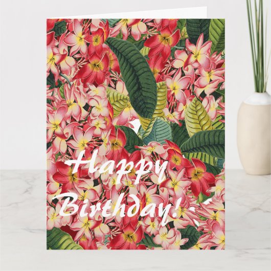 Blume Floral Botanische Plumeria Big Birthday Card Karte (Vorderseite)