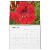 Blume floral fotografisch kalender (Jan 2027)
