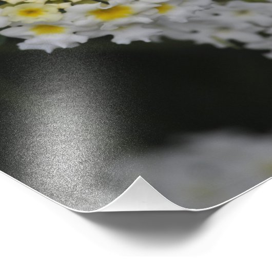 Blume - Flores Fotodruck (Ecke)