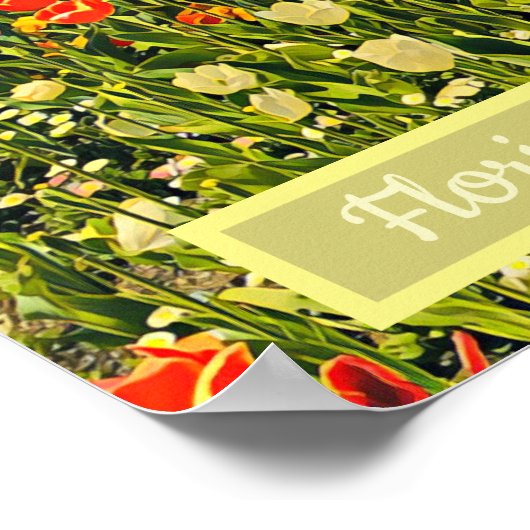 Blume Floriade Canberra Poster (Ecke)