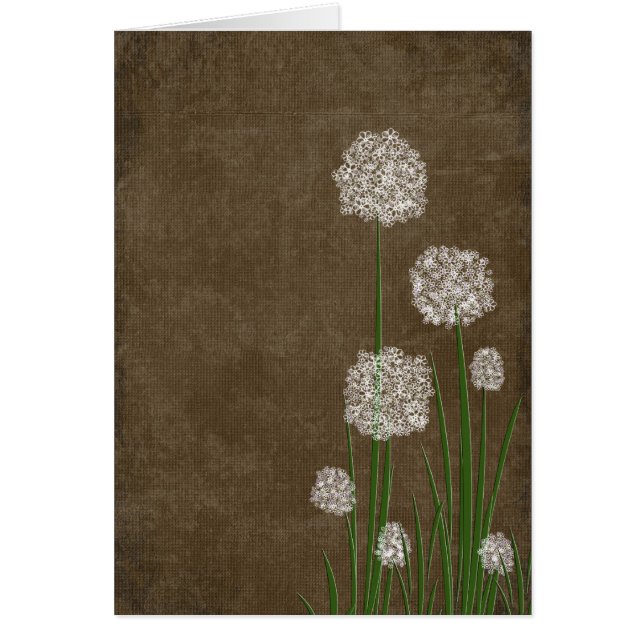 Blume Fluff (Vorne)