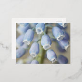 Blume Folien Feiertagspostkarte (Vorderseite/Rückseite)