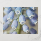 Blume Folien Feiertagspostkarte (Vorderseite)