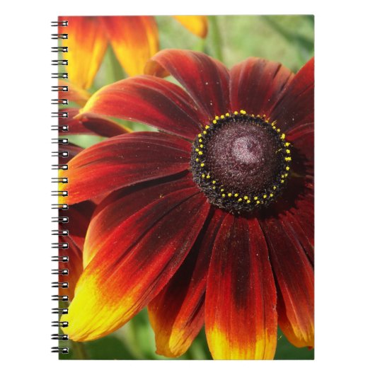 Blume Foto Gelb Brown Notebook Notizblock (Vorderseite)
