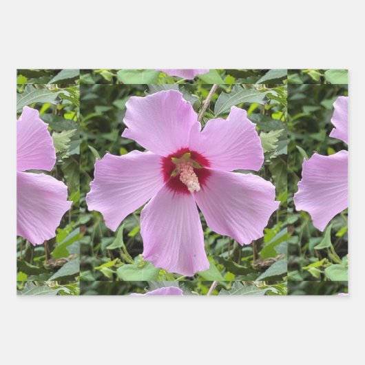 Blume Foto Geschenkpapier Set (Vorderseite 2)