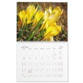 Blume Foto Kalender (Jan 2027)