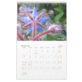 Blume Foto Kalender (Feb 2027)