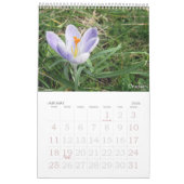 Blume Foto Kalender (Jan 2026)