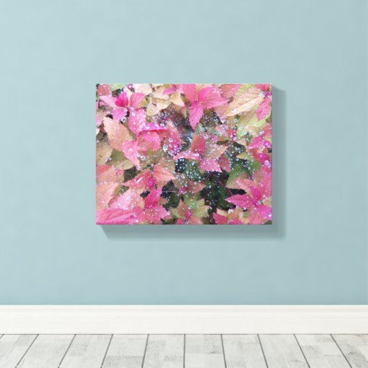 Blume Foto Leinwanddruck (Insitu (Holzboden))